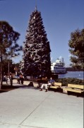 1981-Lake-Buena-Vista-Shopping-VIllage-Christmas-Tree-and-Benches