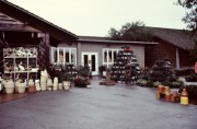 1981-Lake-Buena-Vista-Shopping-Village-Pottery-Chalet