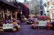1981-Magic-Kingdom-Tencennial-Flower-Market