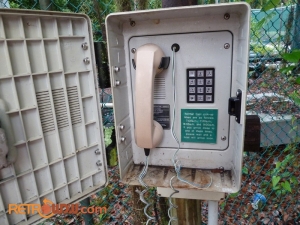 Phone to Discovery Island