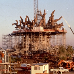 Tree of life Construction