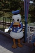 1990-Donald-at-Magic-Kingdom-in-Toontown-Train-Station