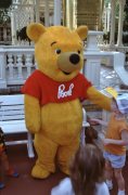 1990-Pooh-With-half-shirt-and-no-hunny-pot-or-bee