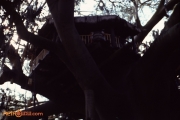 Treehouse 2