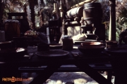Treehouse