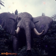African Elephant Audio-Animatronic