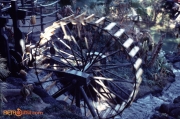 Treehouse Wheel 1 Feb 1981