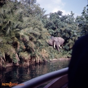 Jungle Cruise Nov 73