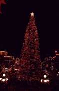 December-1980-Christmas-Tree-Magic-Kingdom-at-Night