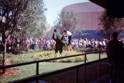 Disney-MGM-Studios-Topiary-1989