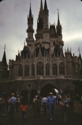 Rear Photo of Cinderella Castle