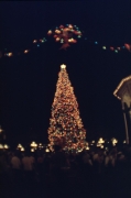 Magic Kingdom Christmas Tree
