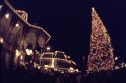 Town Square Christmas Tree: Night
