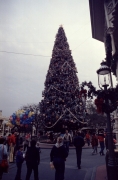 Main Street Christmas Tree