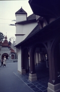 MK-Jan-84_84
