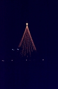 1991-Sea-World-Christmas-Tree