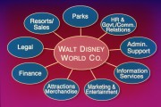Walt-Disney-World-Co-Divisions