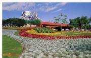 Flowers In Front of the Land Pavilion