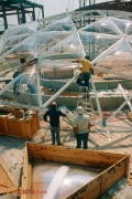 A Section of the Tropics Greenhouse Being Assembled