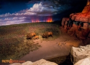 Listen to the Land - Midwest Scene