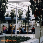 Listen to the Land - Traditional Farm