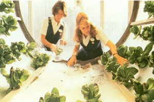 Listen to the Land Greenhouses