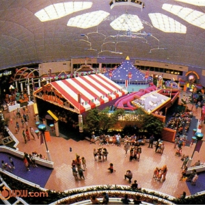 Wonders of Life Overhead Shot