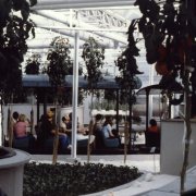PanaVue-EPCOT-The-Land-Boat-Ride-Listen-To-Greenhouse
