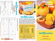 WDW Citrus Gift Brochure 1
