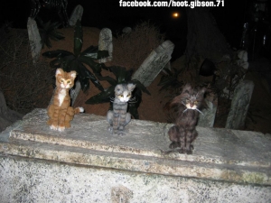 Graveyard Cats