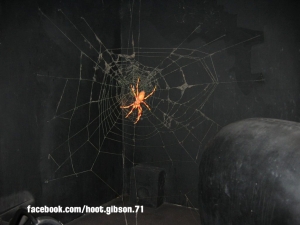 Haunted Mansion staircase spiders