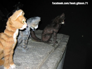 Haunted Mansion: Graveyard Cats