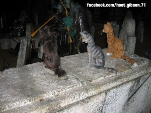 Haunted Mansion Graveyard Scene Cats