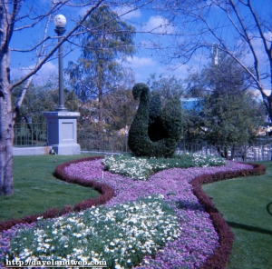 MK Beautiful Gardens