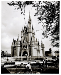 Cinderella Castle