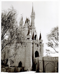 Cinderella Castle