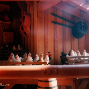 Goofy's Barnstormer Chickens