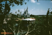 View from the Swiss Family Robinson Treehouse