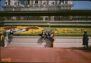 Magic Kingdom Entrance: Mickey Floral