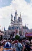 Cinderella's Castle (rear)