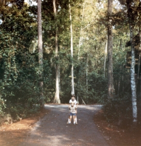 Treehouse Area Exterior