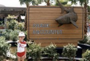 Sea World Shark Encounter Sign