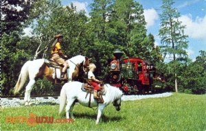 Horseback Riding Postcard