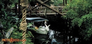 Swan Boats Postcard