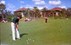 The Golf Resort