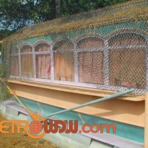 FWRR Car at Typhoon Lagoon