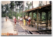 Fort Wilderness Railroad Stop