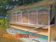 FWRR Car at Typhoon Lagoon