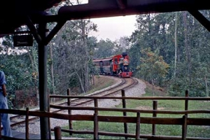 Fort Wilderness Railroad Train
