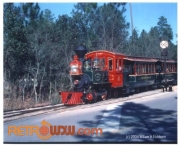 Fort Wilderness Railroad